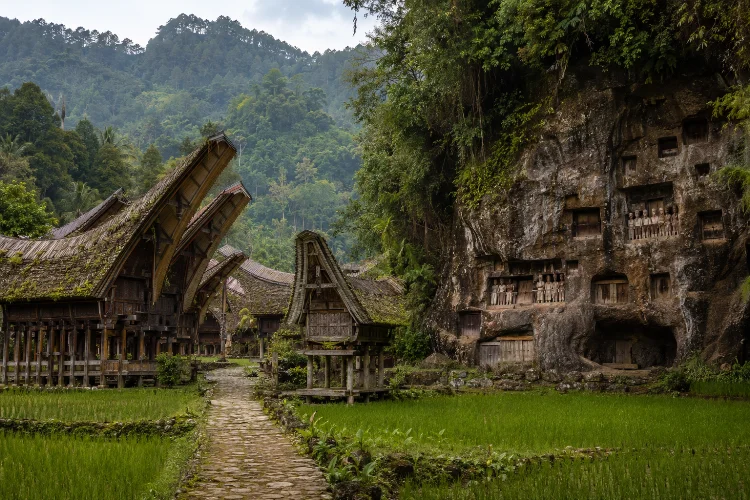 Hubungan Situs Pemakaman dengan Tongkonan