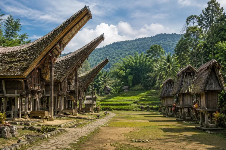 Tongkonan dan Alang