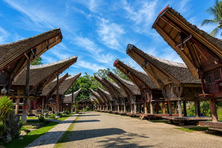 Mengenal Tongkonan Kete Kesu, Rumah Adat Sarat Makna