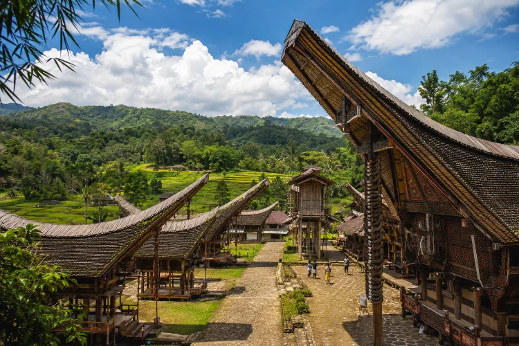 Daya Tarik Desa Wisata Kete Kesu yang Bikin Terpesona