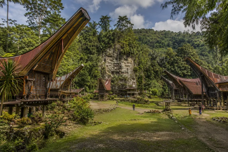 Mengapa Kete Kesu Disebut Desa Adat Bersejarah di Toraja?