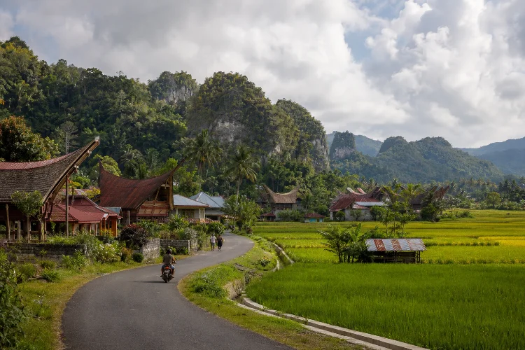 Nuansa Pedesaan Toraja